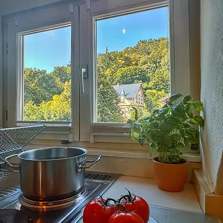 Gemütliches - Dachwohnung Mit Blick über Kinzigtal Apartamento *